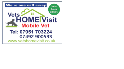 Vets Home Visit Ltd