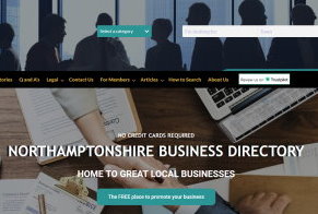 Business website promotion